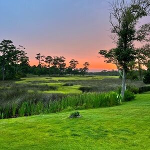 Meet your Posher, Peyton